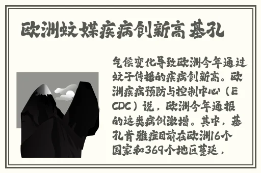 btkitty搜索引擎